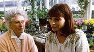 Poster Rosamunde Pilcher: Wechselspiel der Liebe 1995