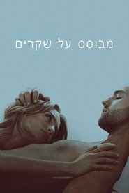 מבוסס על שקרים