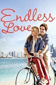 Poster for Endless Love