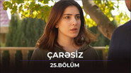 Episode 25