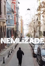 Nemlizade постер