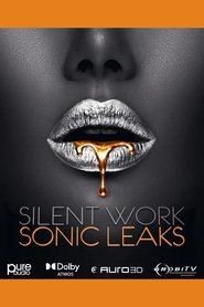 Silent Work – Sonic Leaks