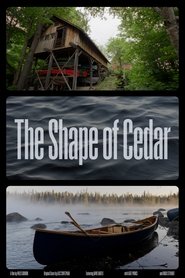The Shape of Cedar 1970 Бесплатан неограничен приступ