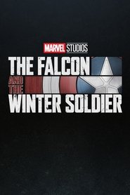 The Falcon and the Winter Soldier