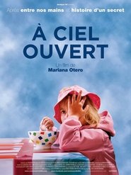 Poster À ciel ouvert 2014