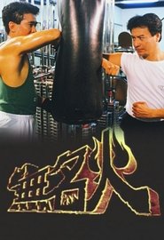 Flame of Fury Episode Rating Graph poster