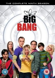 The Big Bang Theory Temporada 9 Capitulo 8