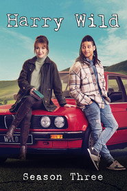 Harry Wild Series 3 6