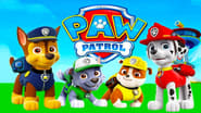 Paw Patrol: Safety Pups en streaming