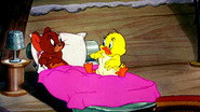 Little Quacker