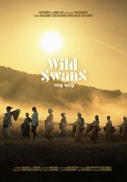 Wild Swans