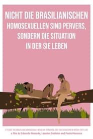 Poster Nicht die brasilianischen Homosexuellen sind pervers, sondern die Situation in der sie leben