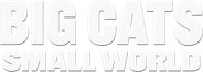 Big Cats, Small World Logo