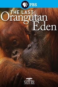 Poster The Last Orangutan Eden