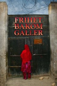Poster No Burqas Behind Bars 2013