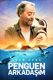 Penguen Arkadaşım