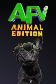 America's Funniest Videos: Animal Edition постер