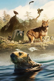 Island of the Sea Wolves poster