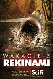 Wakacje z rekinami