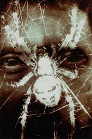Poster À quoi rêve l'araignée ? 1982