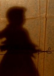Poster The Secret Story 1996