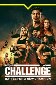 The Challenge постер