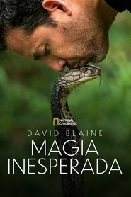 David Blaine Do Not Attempt