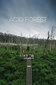 Poster Acid Forest 2018