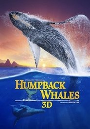 Ut9hzdbsyylqs9irjbaeocpxnsh