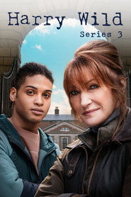 Harry Wild Series 2 4