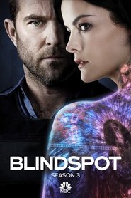 Blindspot - Season 3 Episode 1 : Back to the Grind