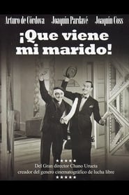 Poster ¡Que viene mi marido!