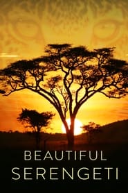 Beautiful Serengeti