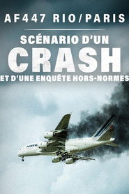 AF447 Rio/Paris : scénario d'un crash et d'une enquête hors normes