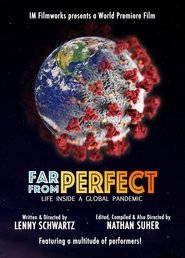 Poster Far from Perfect: Life Inside a Global Pandemic 2020