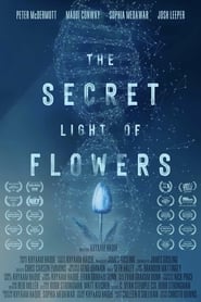 The Secret Light of Flowers