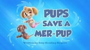 Pups Save a Mer-Pup