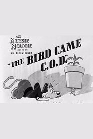 The Bird Came C.O.D.