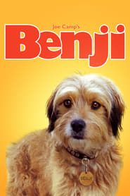 Poster Benji - Auf heißer Fährte