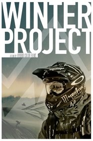Poster Winter Project 2014