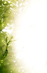 A Beginning of Worlds