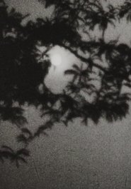 Poster Moonplay 1962