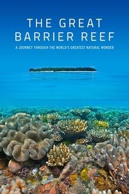 The Great Barrier Reef