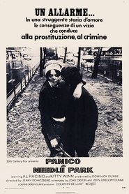 The Panic in Needle Park