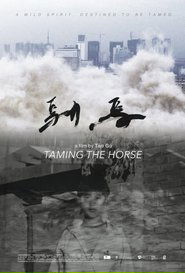 Poster Taming the Horse 2017