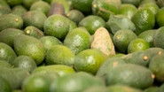 Avocado Wars: The Battle Over Water Rights In Chile