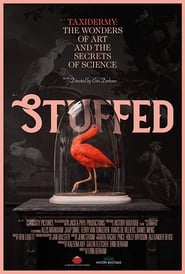 Stuffed постер