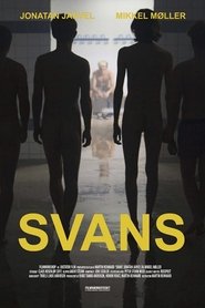 Swans streaming