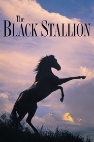 The Black Stallion (1979) The Black Stallion (1979)