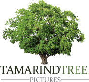 Tamarind Tree Pictures